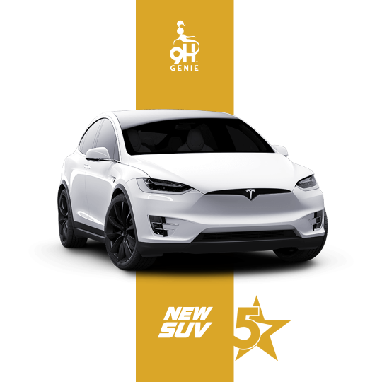 New SUV 'Gold Package'